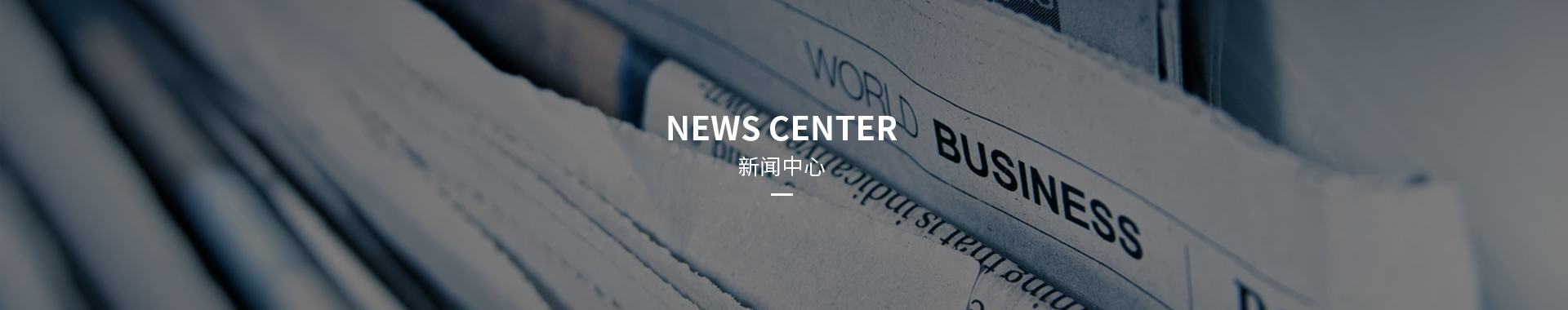 新闻动态